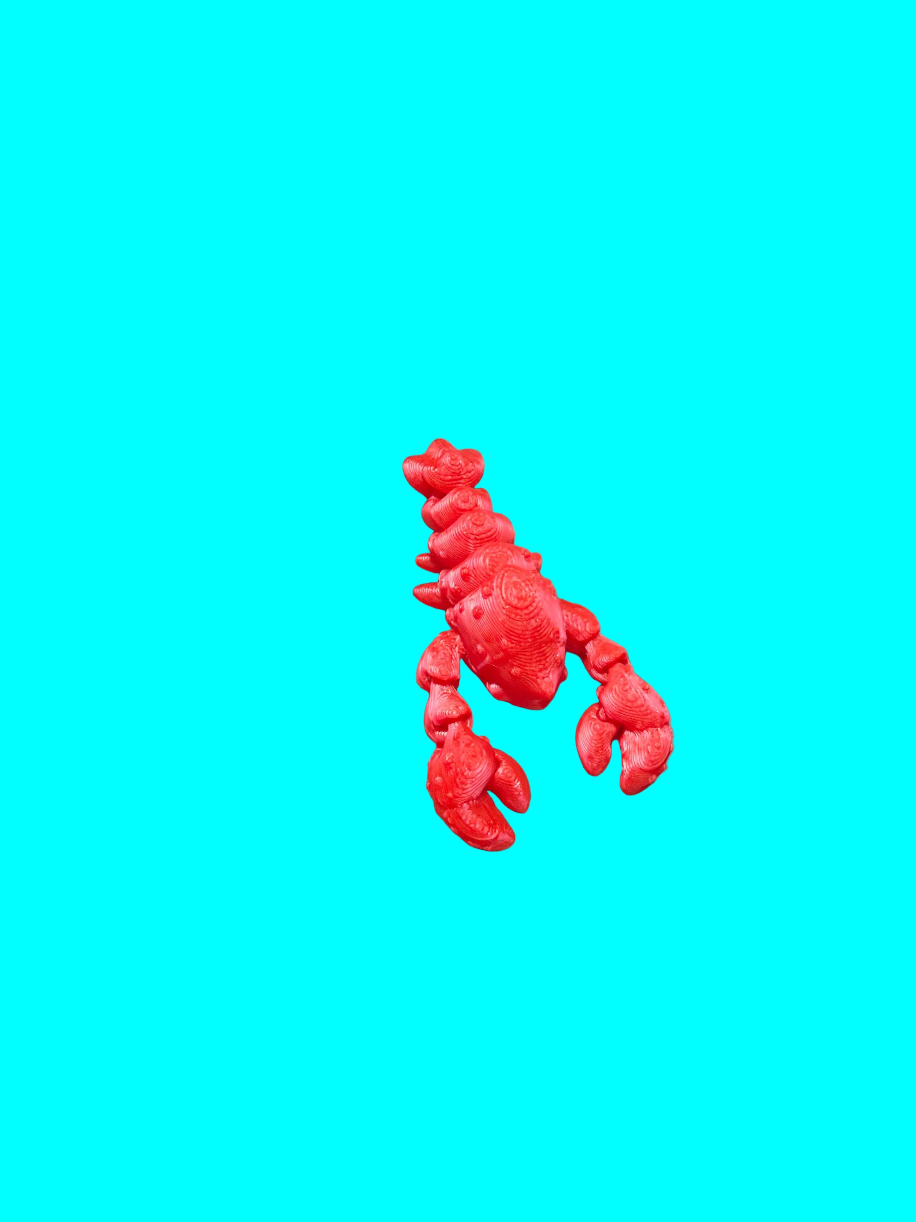 3D Printed Lobby Lobster