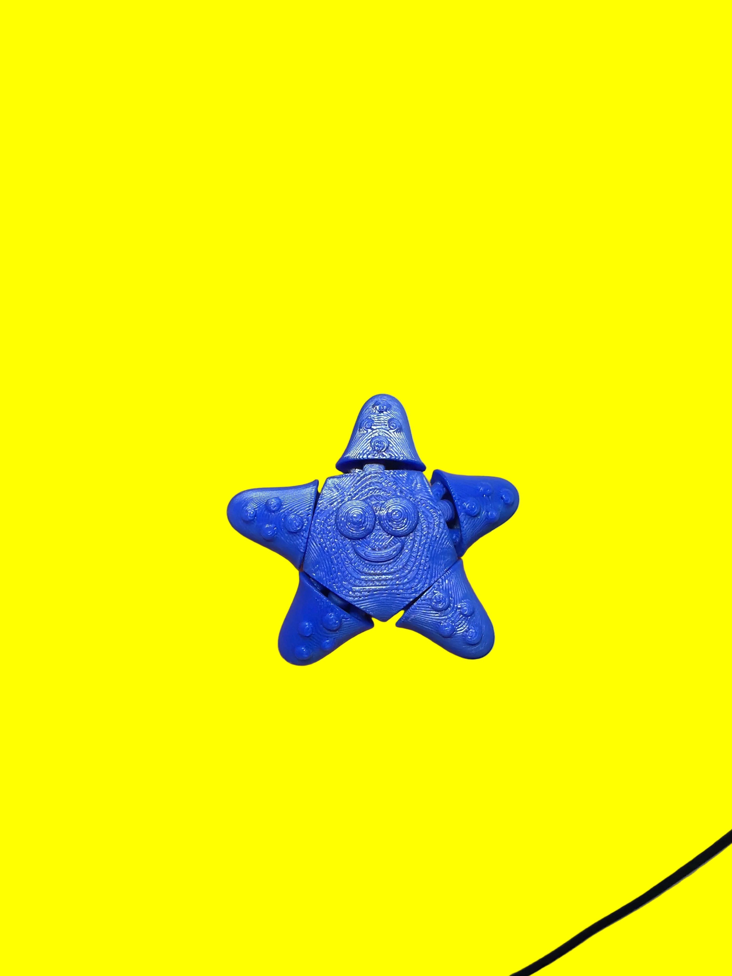3D Printed Bluey Starfish