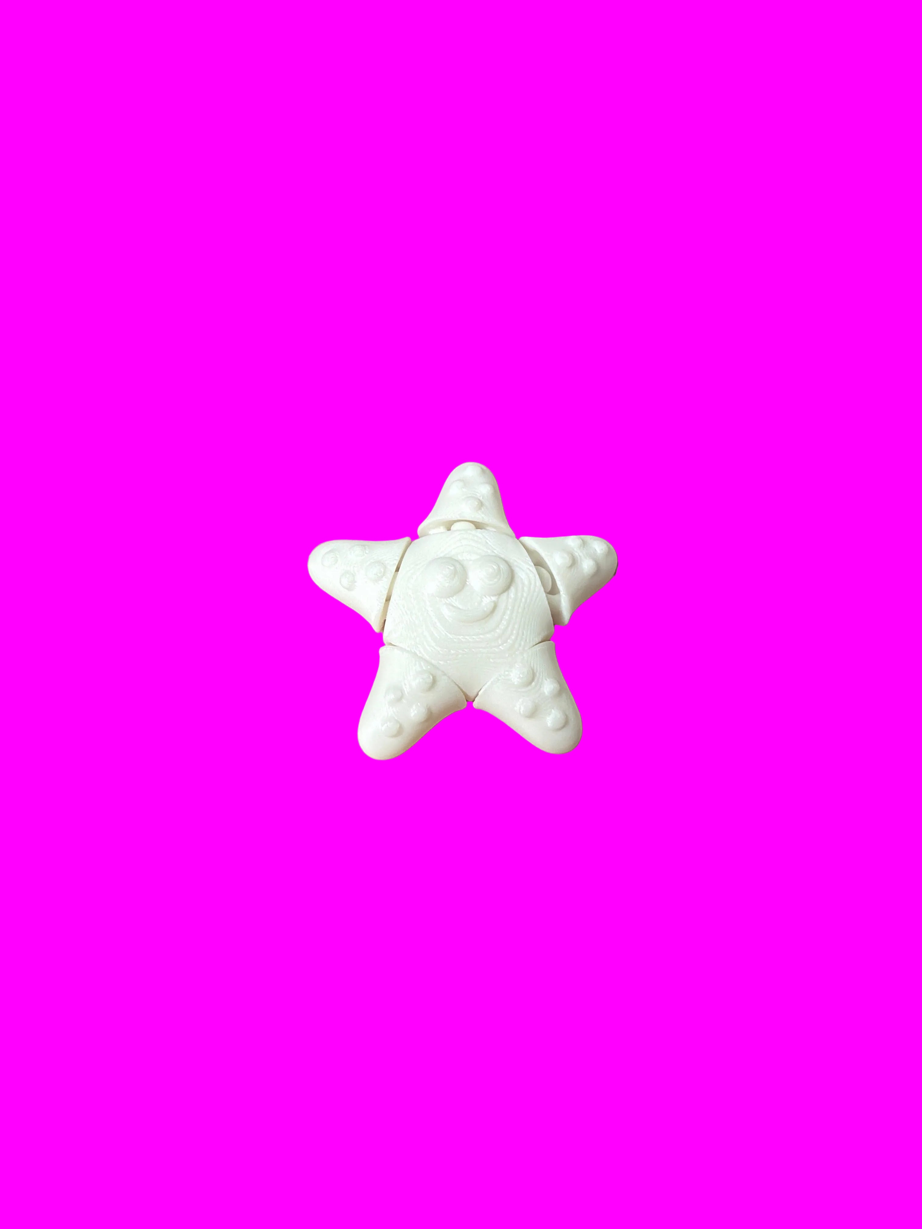 3D Printed White Starfish