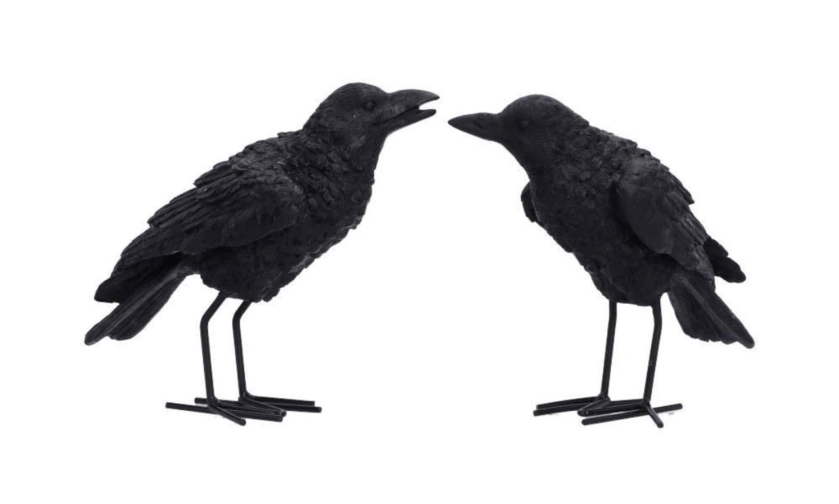 Watchful Pair (Set of 2) 13.9cm - pre order