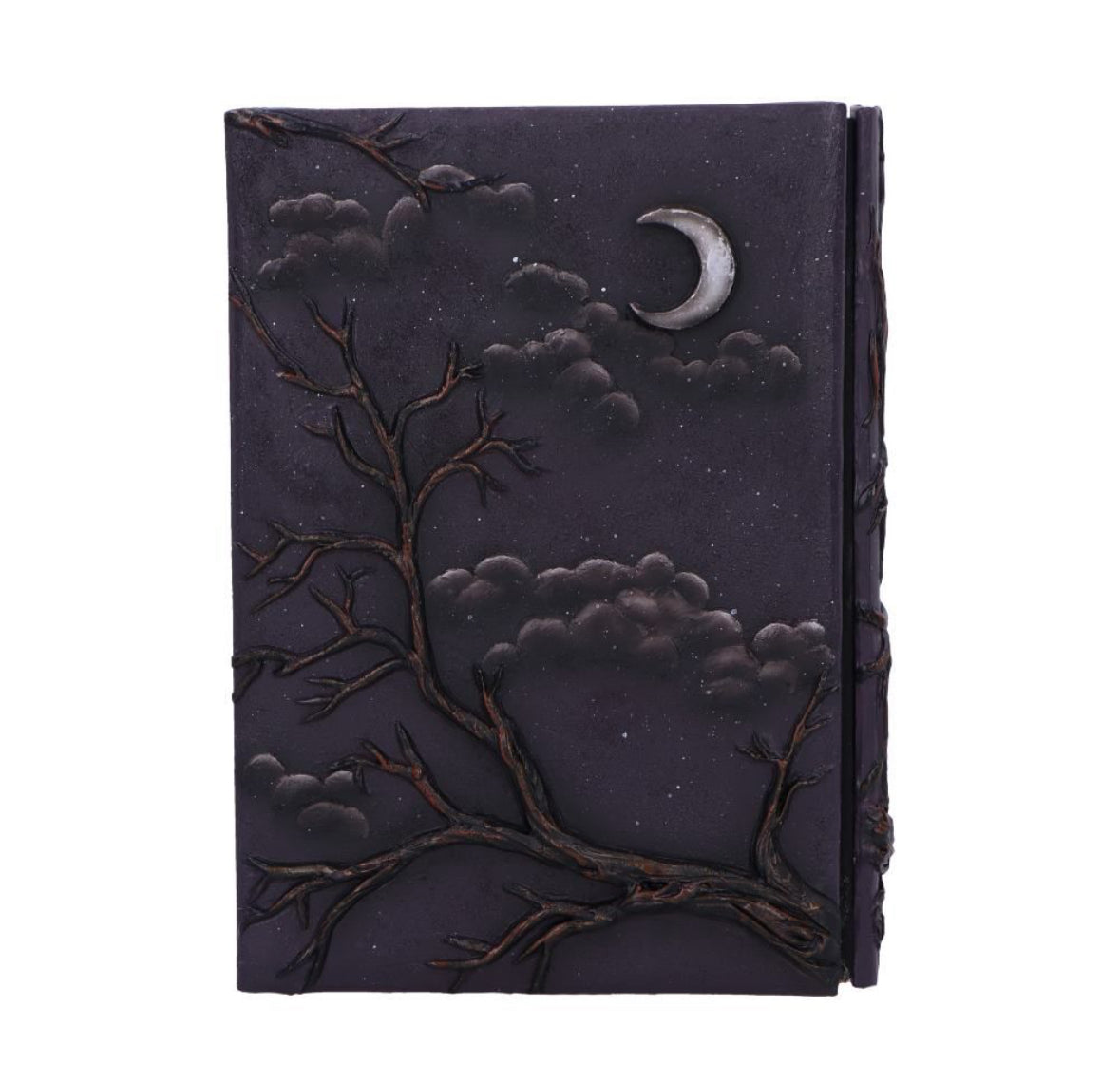 Raven's Grimoire Journal