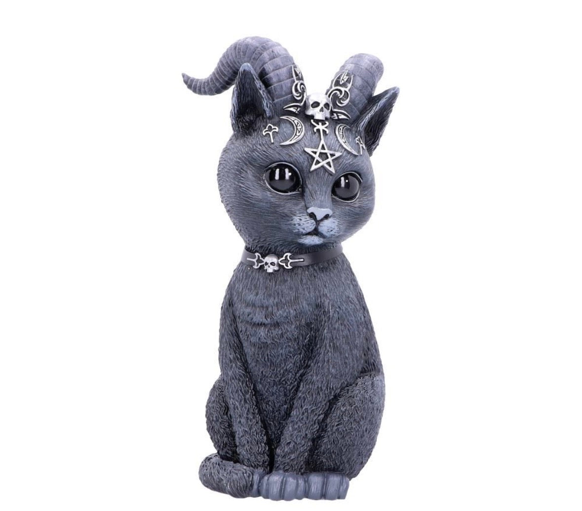 Pawzuph 26.5cm (Large)