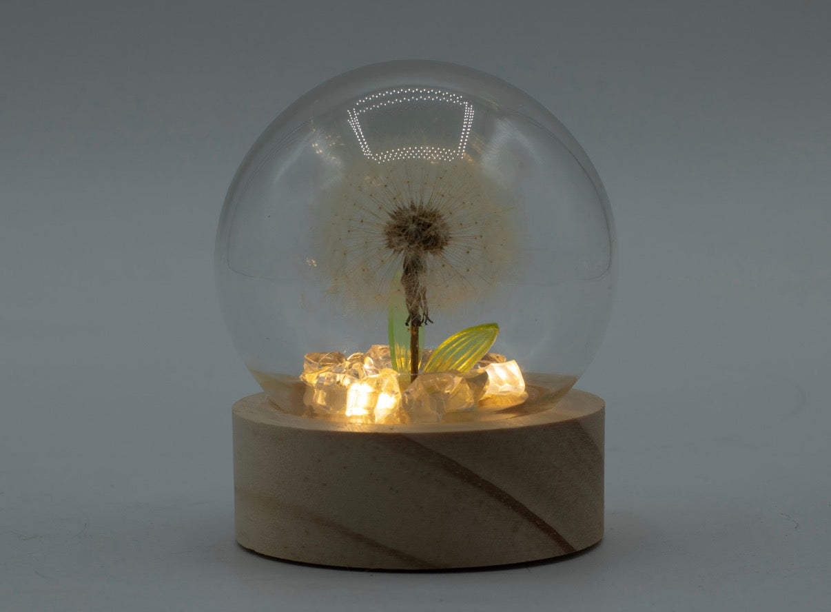 Floral Glow Garden Dome - 1 Dandilion- LED Battery