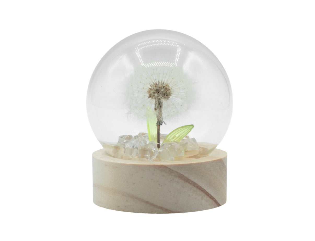 Floral Glow Garden Dome - 1 Dandilion- LED Battery