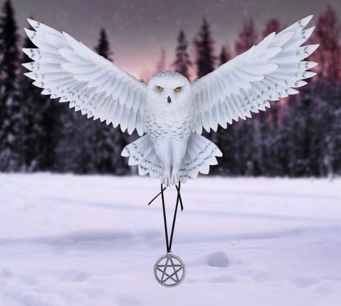 Awaken your Magic (AS) 45cm