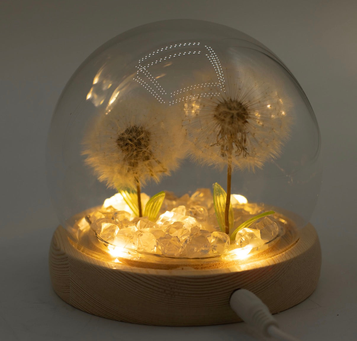 Floral Glow Garden Dome - 2 Dandelions - LED USB