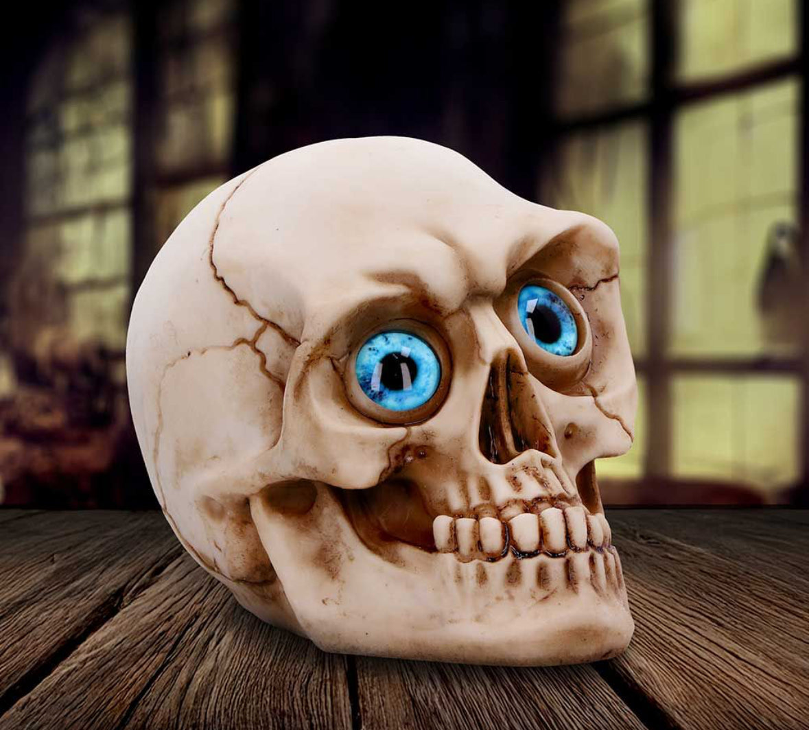 Eyes Wide Open (Blue) 12cm -