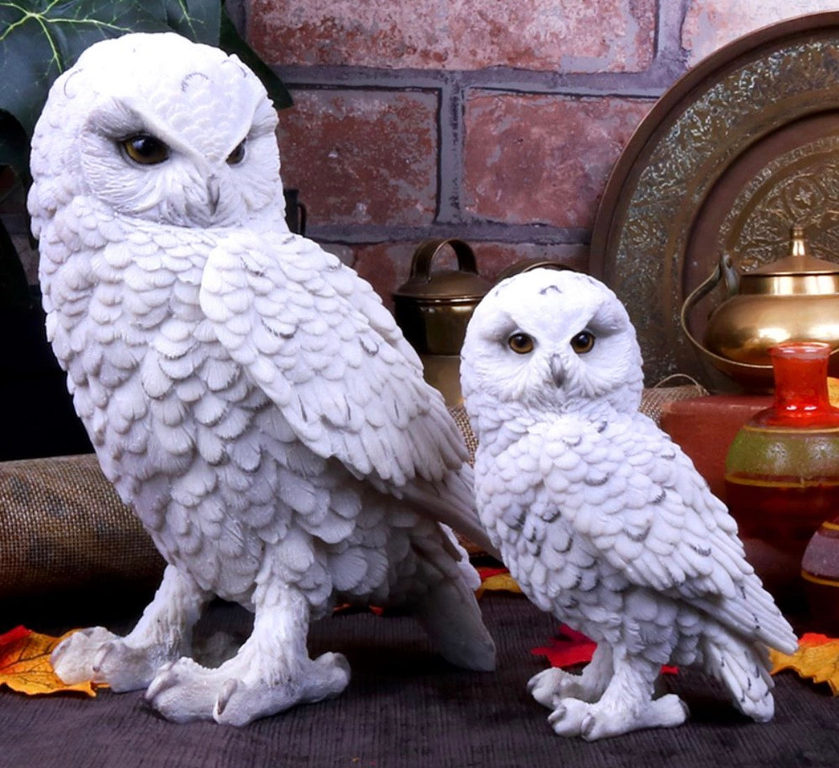 Snowy Watch Owl