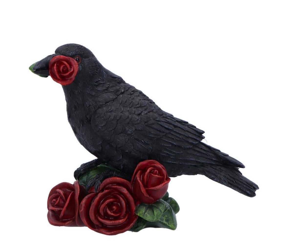 Rose of the Raven 14cm