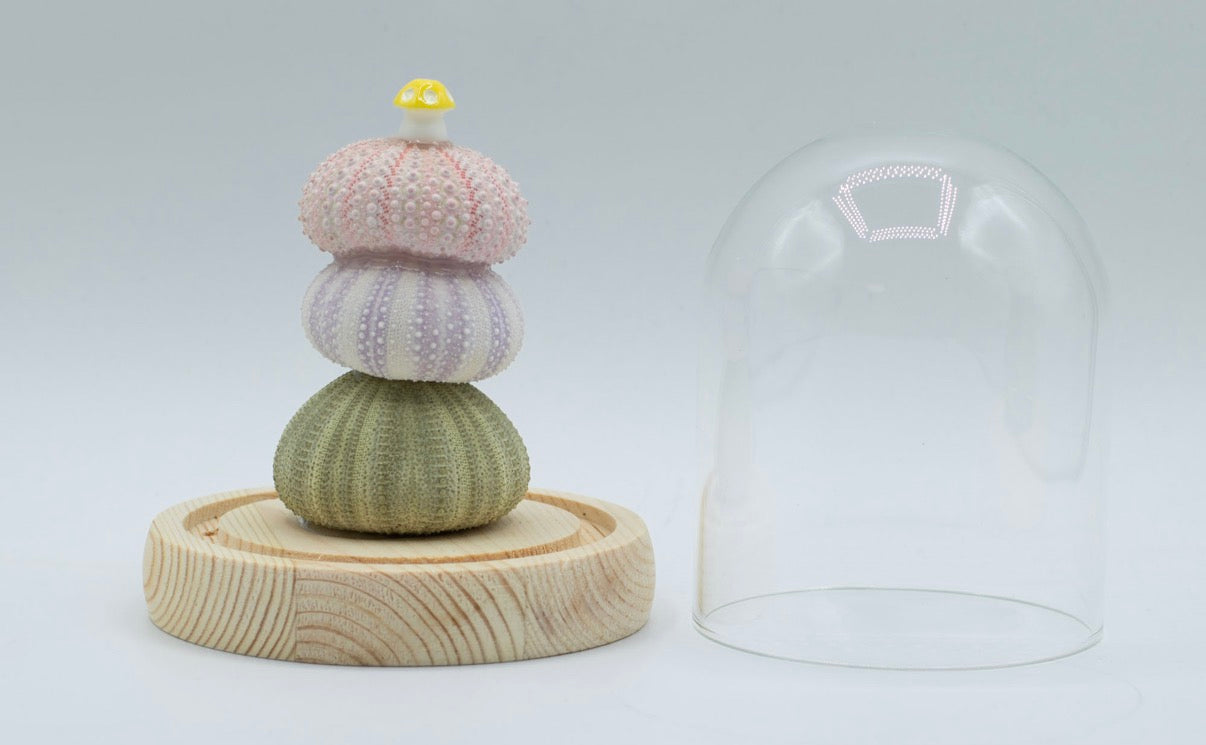 Floral Glow Garden Dome - 3 Sea Urchins - LED USB
