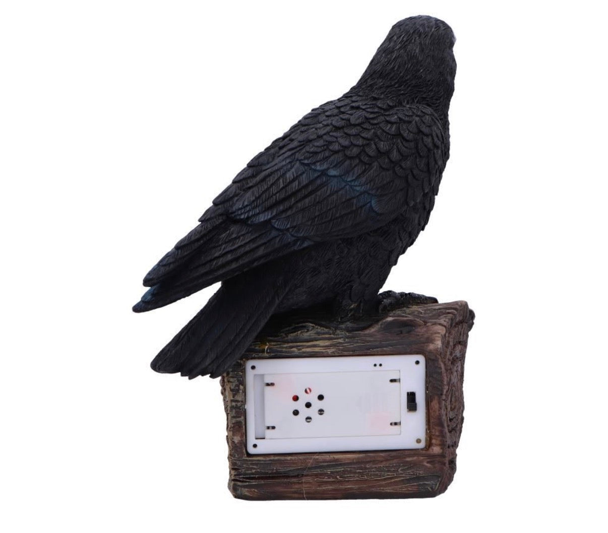 Ravens Cry With Motion Activated Sound