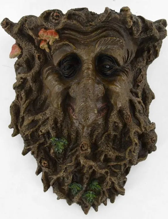 TREE ENT - MYSTICAL FACE WALL PLAQUE H24CM