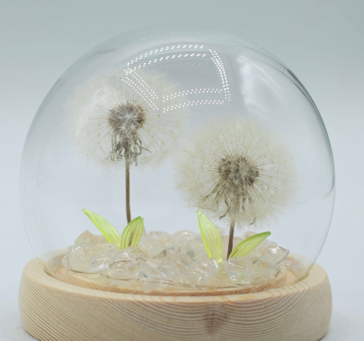 Floral Glow Garden Dome - 2 Dandelions - LED USB