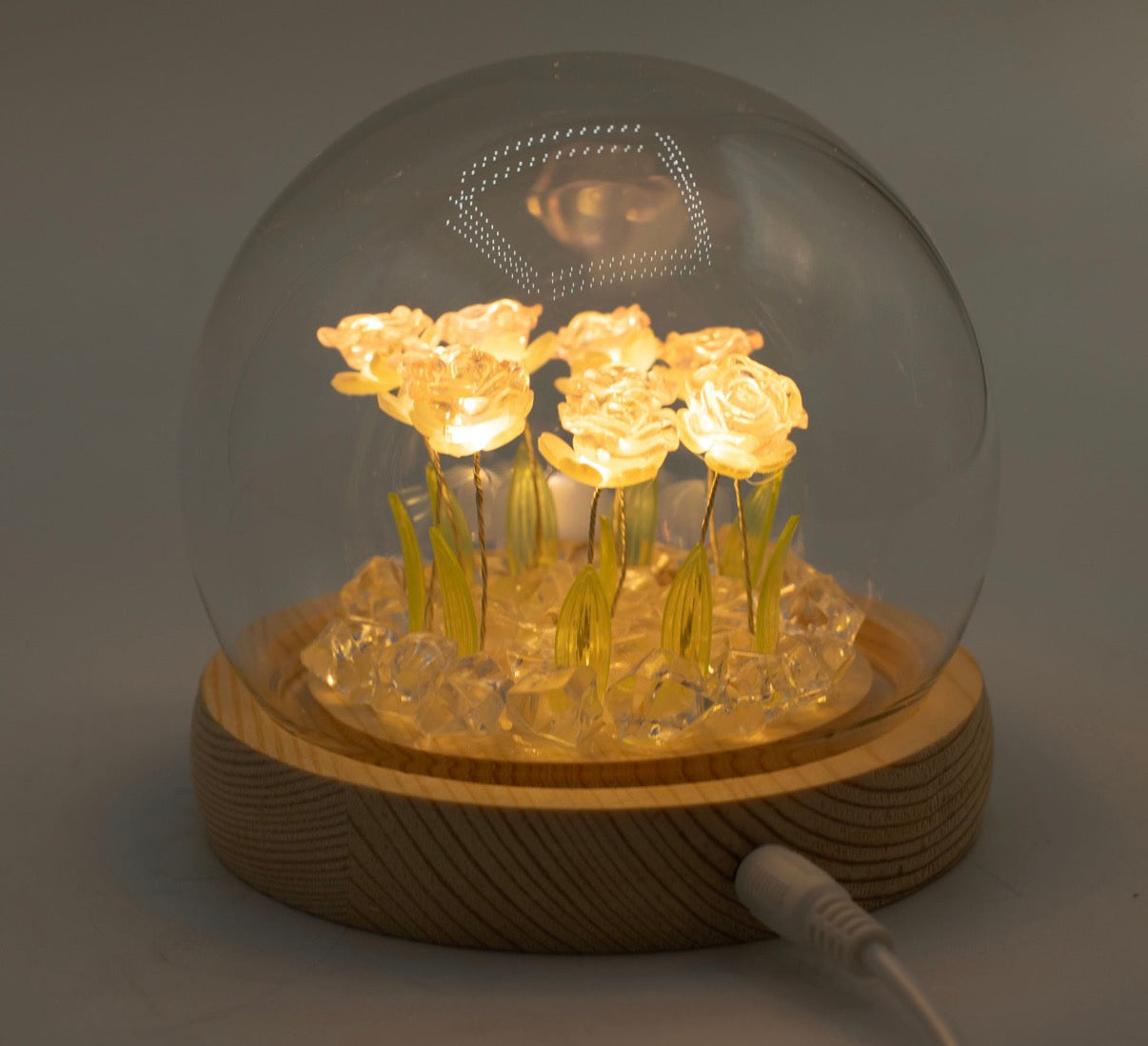 Floral Glow Garden Dome - 10 Pink Roses - LED USB