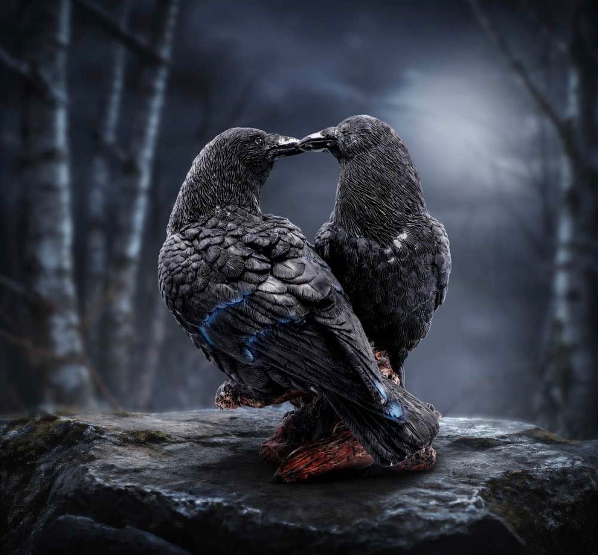 Midnight Kiss 13.9cm