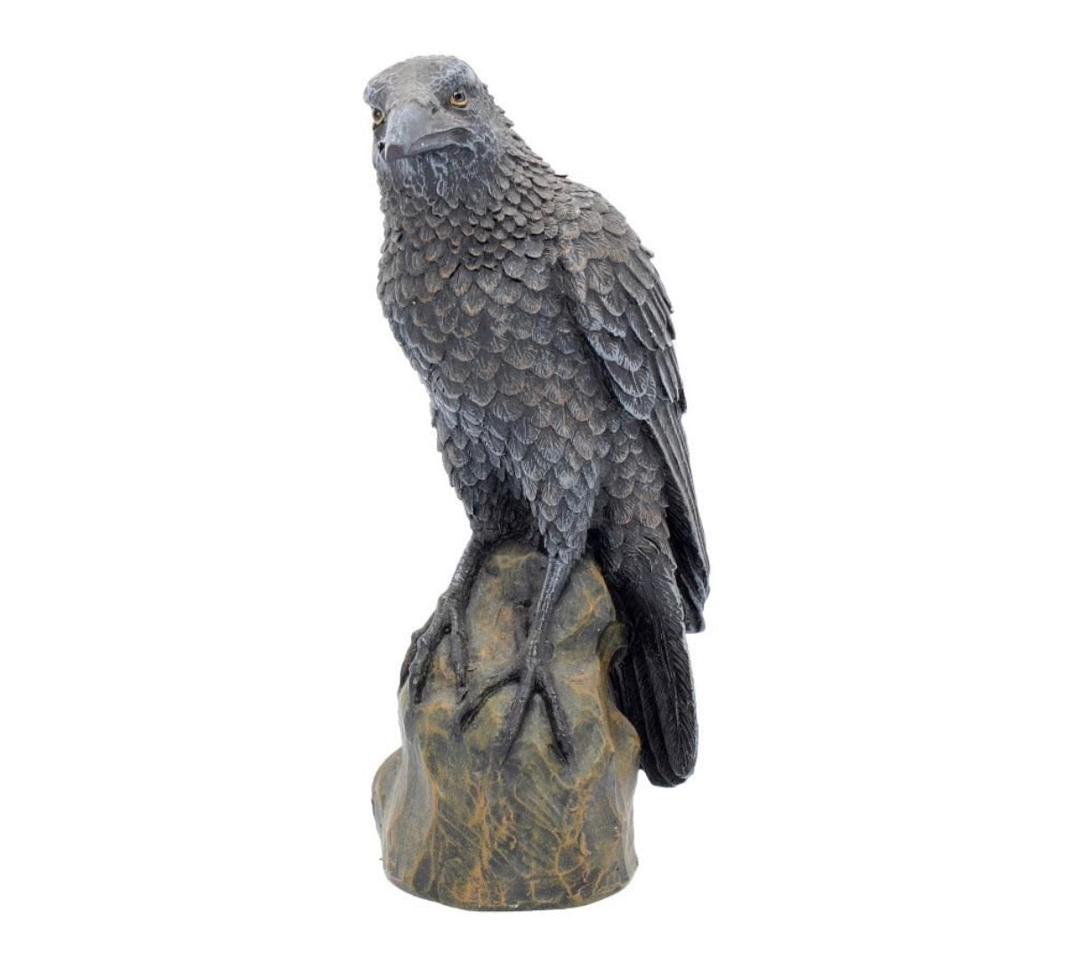 Ravens Rest 16cm