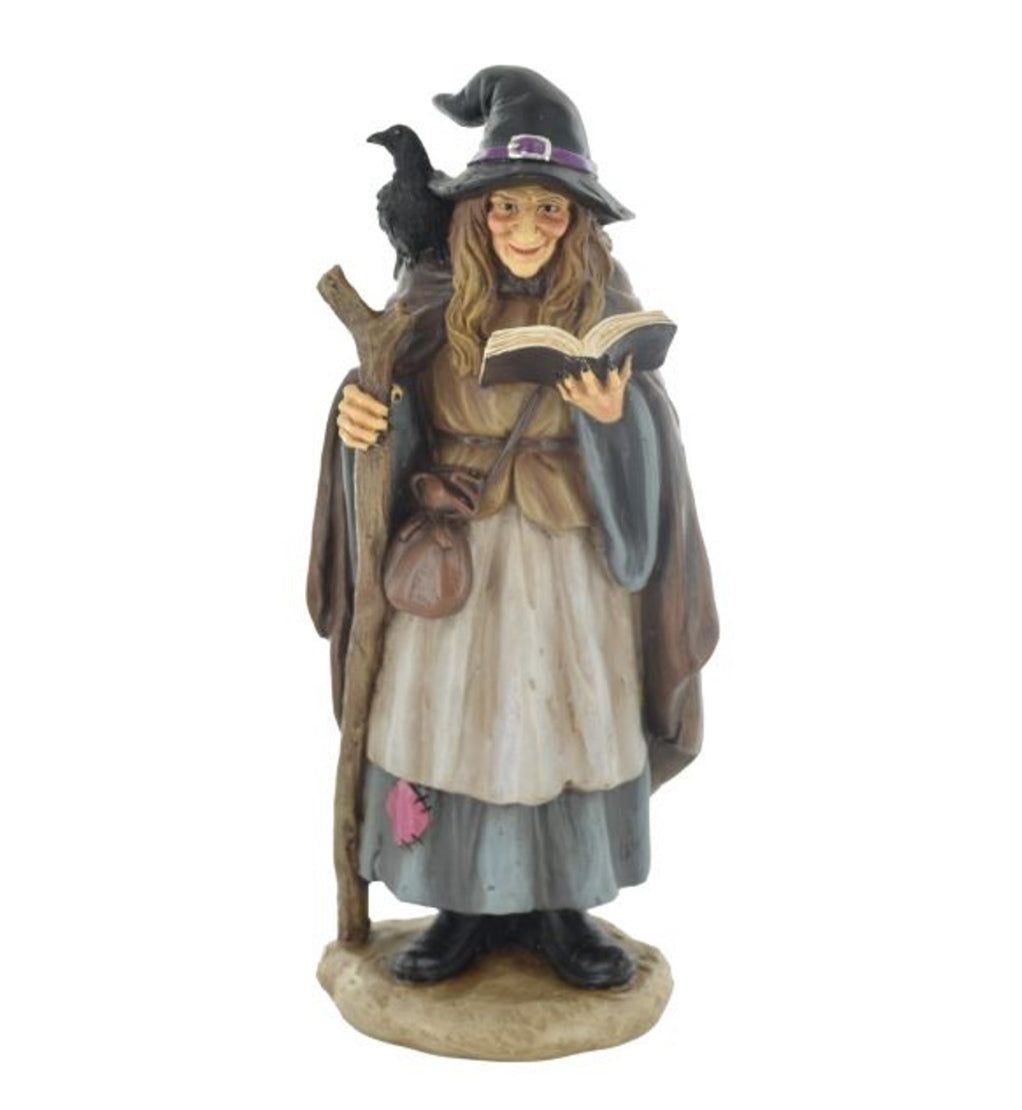 COLOURED WITCH WITH BLACK RAVEN & BOOK