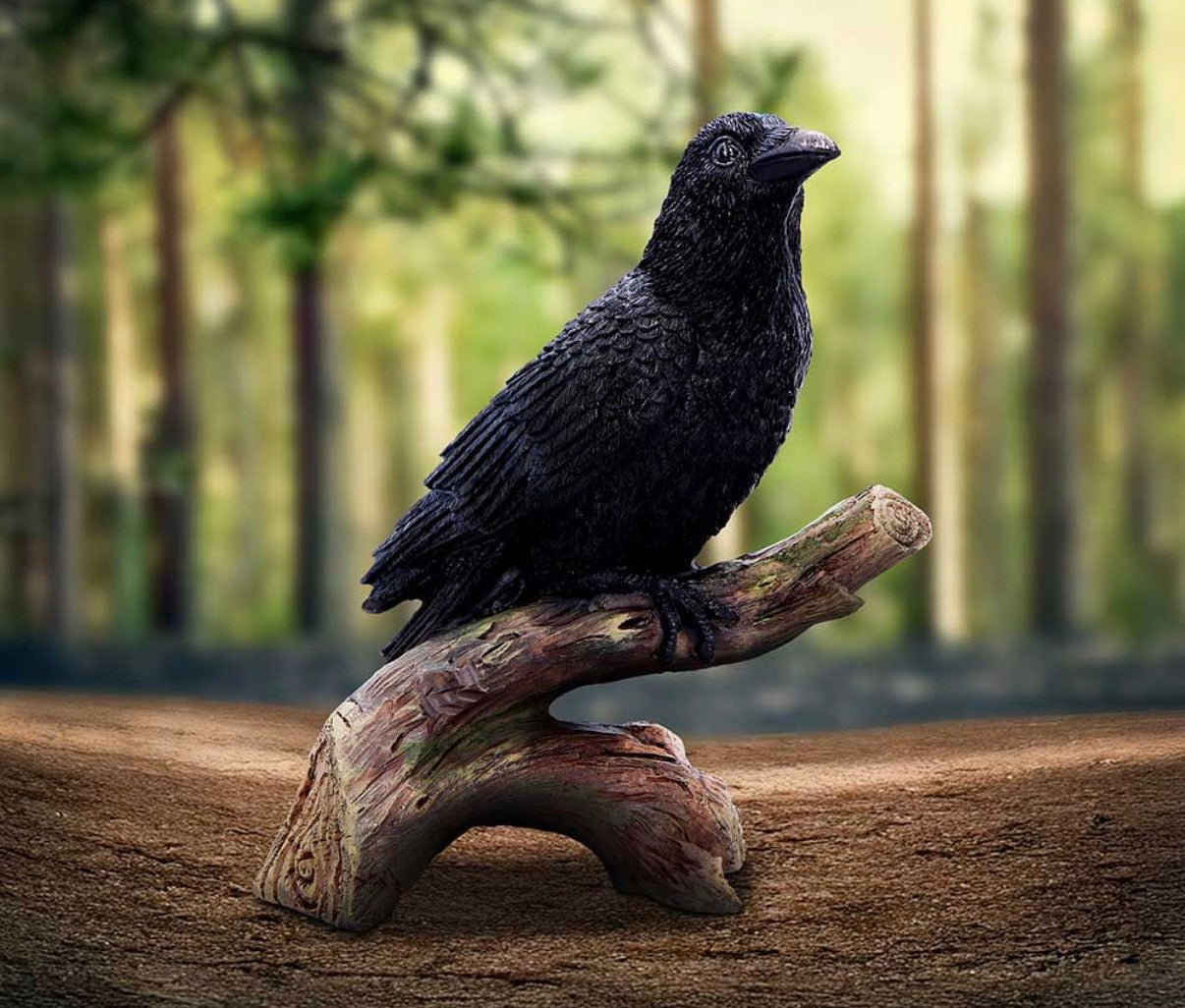 Ravens Perch 20cm