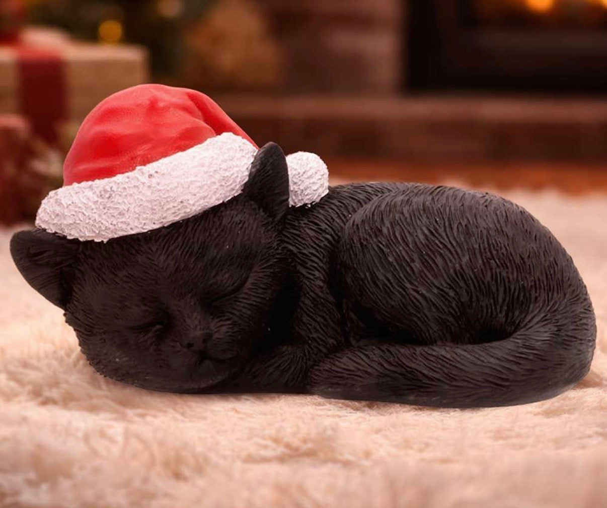 Merry Whiskers