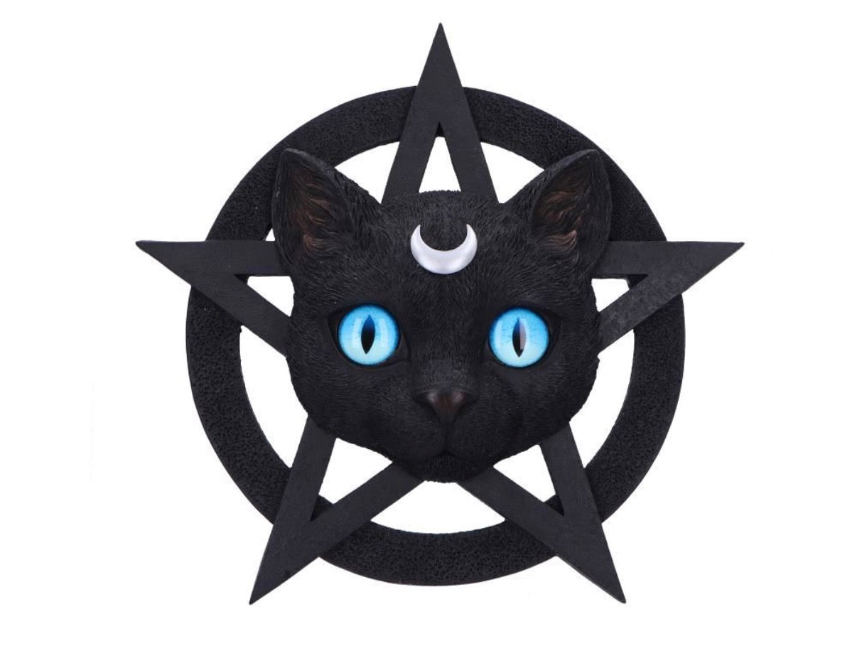 Feline Worship